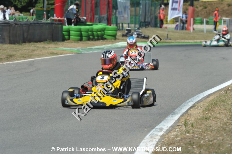 DSC_ (1822).JPG